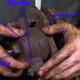 Illustration for article titled Heres How Your Foot Is Able To Bring A 4,000 Pound Car To A Halt